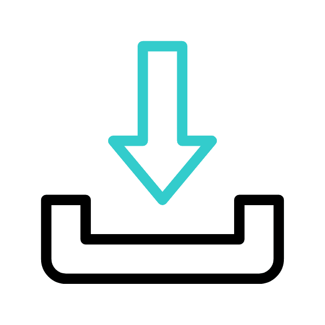 Download PDF